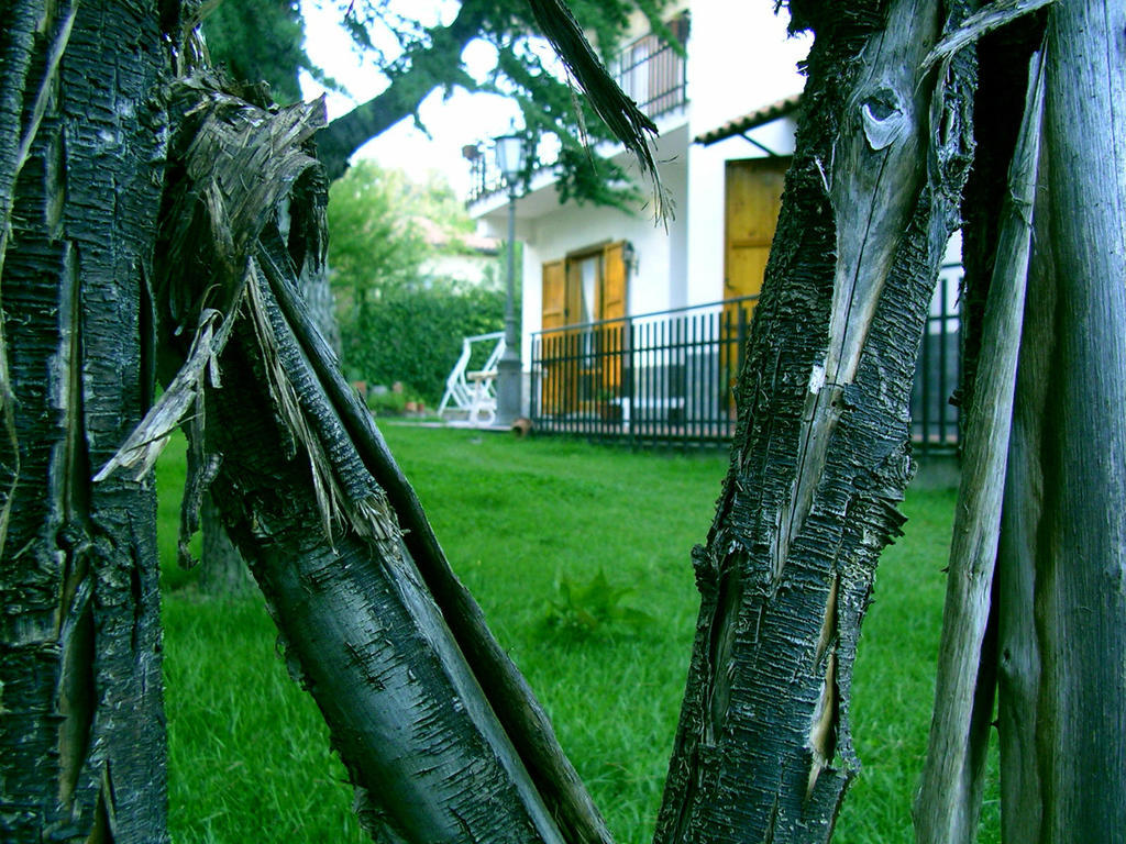 Villa Caterina B&B Pedara Kültér fotó