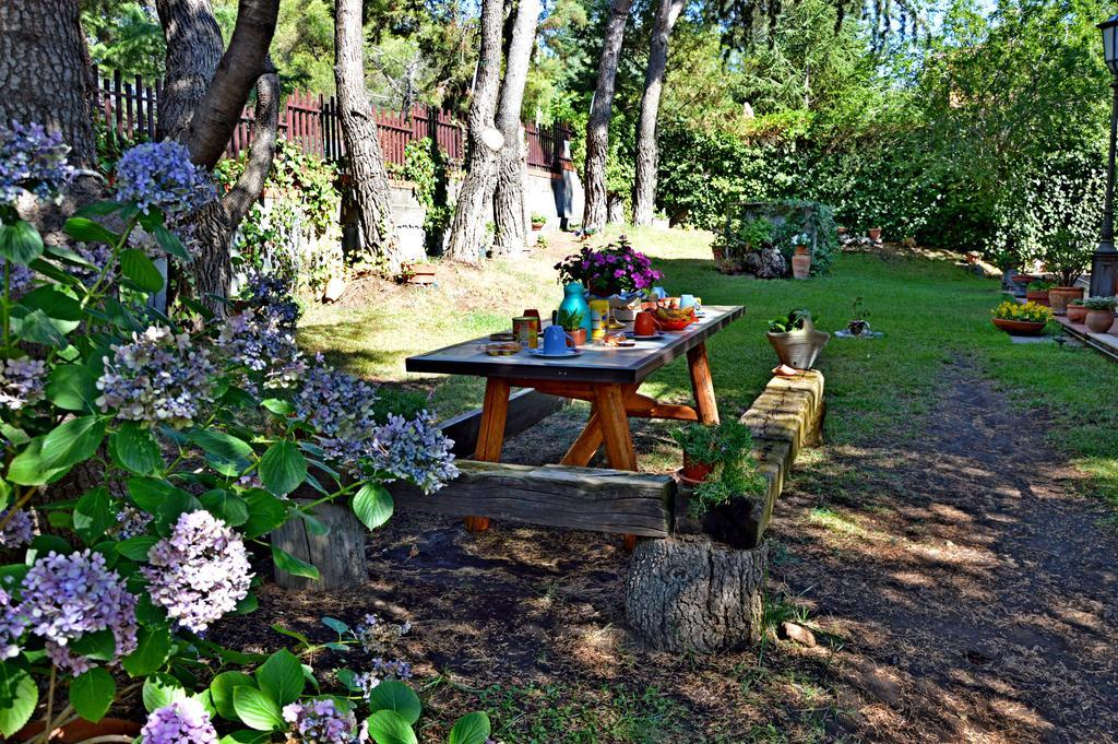 Villa Caterina B&B Pedara Kültér fotó
